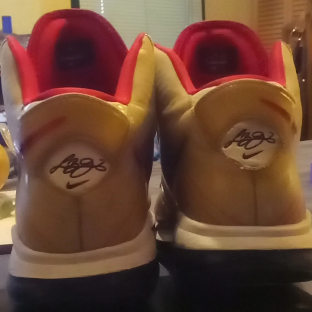 Labron 8 V2 - Picture 11 of 14